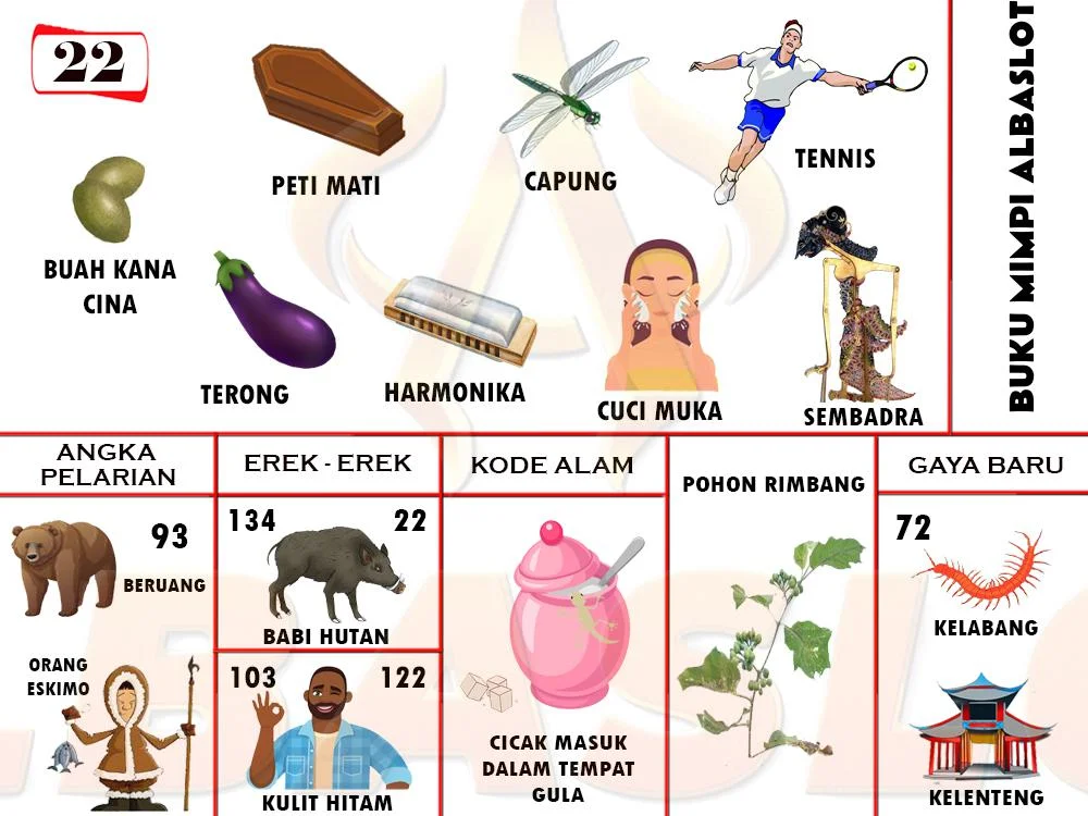 buku mimpi erek erek togel 22