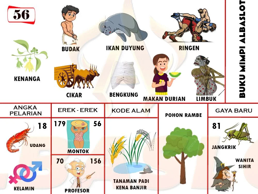 buku mimpi erek erek togel 56